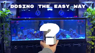 Simple Reef Tank Dosing Guide - No Complicated Steps