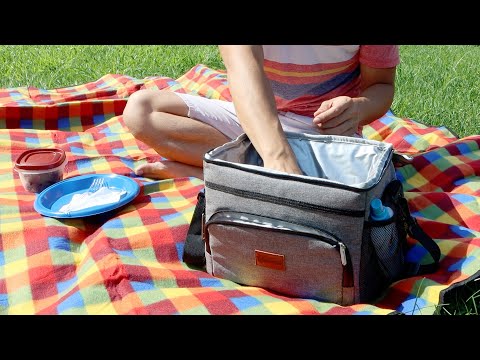 AstroAI Insulated Cooler Bag for Cold or Hot Foods Review