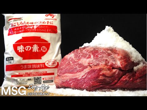 Insane Dry-Aged beef Experiment with MSG!!