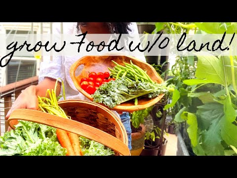 Vegetable Gardening on a Small Balcony | Over 150 Vegetables on a Deck