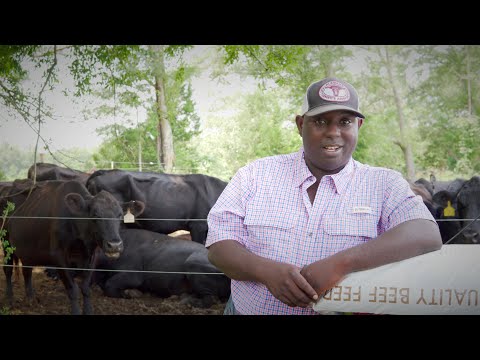 A Self-Made Man Taught Me about the Cattle Business