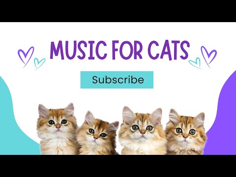 ‼️4 HOURS of Deep Sleep Calming Music for Anxious Cats 🐱 Anti Separation Anxiety 🎵