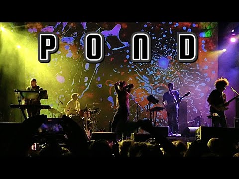 Pond - Full Performance - Live @ Desert Daze 2022