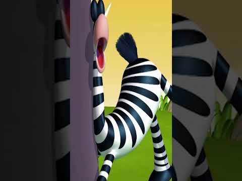 Tricks and Jokes #animalsvideo  #shorts #youtubeshorts #gazoon #kidsshowsclub