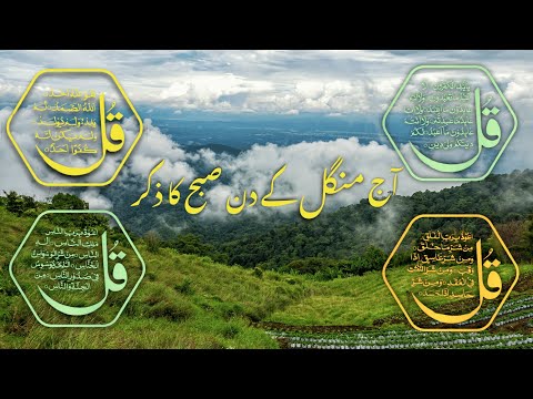 4 Quls | Quranic Surahs for Peace & Protection | Soothing Recitation 🕊️