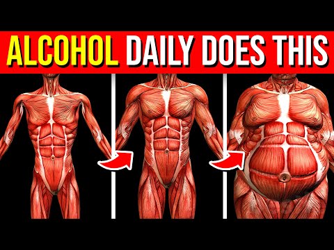 What Happens To Your Body When You Drink Alcohol Every Day