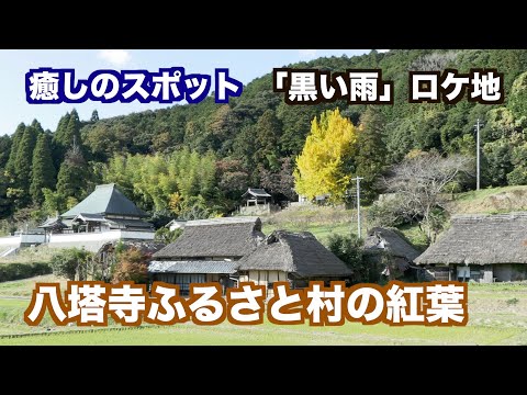 癒しのスポット「八塔寺ふるさと村の紅葉」岡山備前市吉永町（制作　宮﨑　賢）