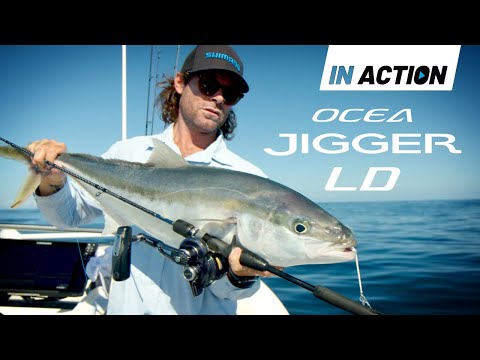 Shimano OCEA Jigger LD | Deepwater Jigging for Kingfish