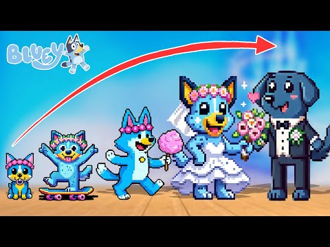 Bluey Growing Up Transform To Pixel Compilation | GO WOW