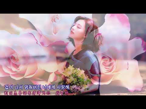 【韓語歌曲中韓歌詞】🌺🎀How Can I Love You 我該如何愛你 - XIAJUNSU金俊秀