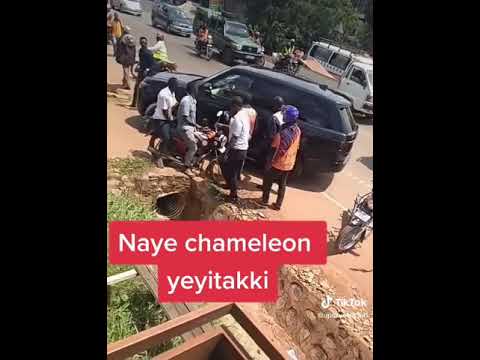 Chameleon ajjeeyo Kiboko nakuba owa bodaboda