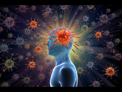 The Immune System: The Invisible Guide to Our Behavior - Neuroscience News