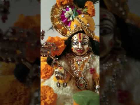 सभी को शुभ रात्रि हरे कृष्णा राधे राधे #love #krishna #radhe #youtube #viralvideo #short