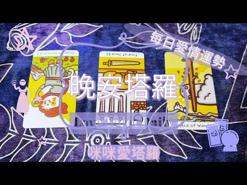 晚安塔羅⭐️ 星座每日愛情運勢💋咪咪❤️塔羅 Love Tarot Daily⭐️next 24 hr