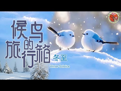 【Seasons Through Birds’ Eyes】Winter Solstice 冬至大如年 #候鸟的旅行箱 #冬至