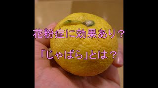 花粉症に効果あり？「じゃばら」とは？