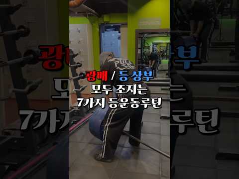 광배부터 등상부까지 조져버리는 7가지 등운동루틴