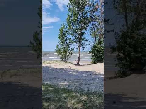 #nature #beach #yt #shortvideo #shorts #ontario #canada #ytshorts #rothel13