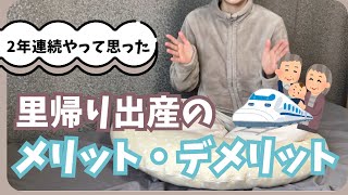 【第一子とは違った】里帰り出産を2年連続やって思ったメリット・デメリット