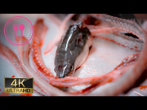 Japanese Special Skill: Eel Cutting ~ Skewering ~ Grilling and ORIGINAL 6 SKEWERINGS