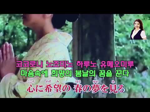 春の夢 (봄의 꿈)