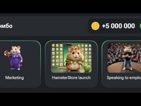 30 august Hamaster Kombat Daily Combo Card Today 5M Coins || hamster kombat daily combo today 🐹