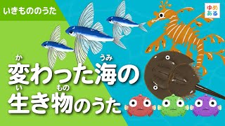 変わった海の生き物のうた🌊🐡