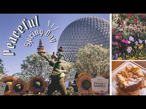 Epcot Flower & Garden Festival Day 🌼 peaceful, calm, no talking music only, cozy vlog