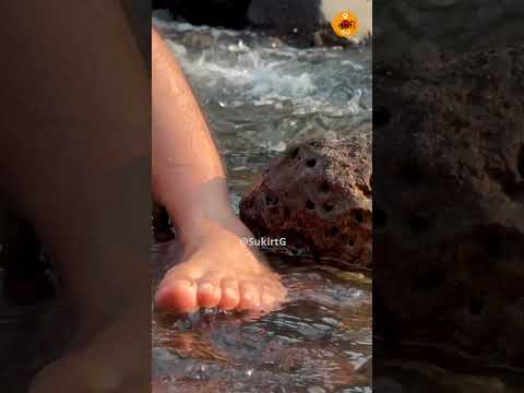 Konkan Explore | Konkan | Ratnagiri Konkan | Best Place | Sukirtg  #konkantravel #travel #kokan