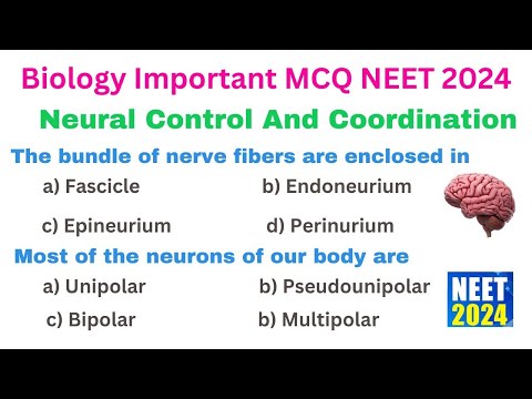 Neural Control And Coordination MCQ | Class 11 Biology One Shot | NEET Biology 2024 MCQ