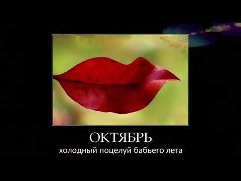 Осенняя Музыкальная открытка для настроения и позитива.