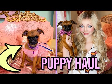 My New Puppy Haul! Lyssy Noel