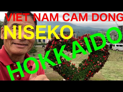 VIET NAM CAM DONG    NISEKO HOKKAIDO