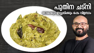 പുതിന ചട്നി - ദോശക്കും ഇഡ്ഡലിക്കും ഒപ്പം വിളമ്പാം | Pudina Chutney Recipe