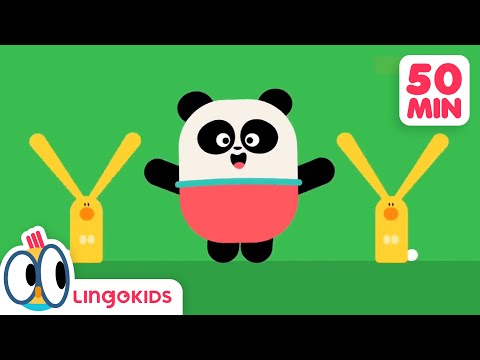 BINGO THE DOG 🐶 More Popular Songs for Kids | Lingokids