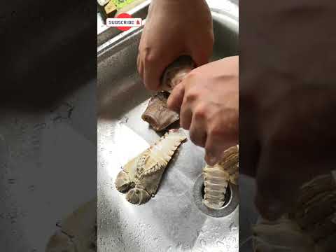 How to de-shell Slipper Lobster?