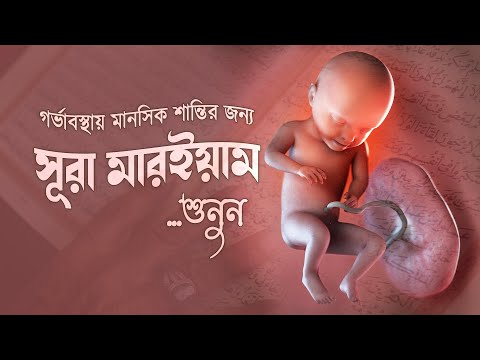 গর্ভাবস্থায় মানসিক শান্তির জন্য সূরা মারইয়াম বেশি করে শুনুন  | SURAH MARYAM (مريم) | Yaser Zailay