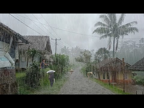 Super Heavy Rain in My Village | Very quiet and cool, perfect for insomnia, walking in heavy rain