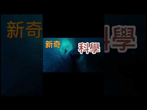 #shorts #天狼星  #多貢人  #外星文明  西非 多貢人 拜訪過地球的外星文明 天狼星人