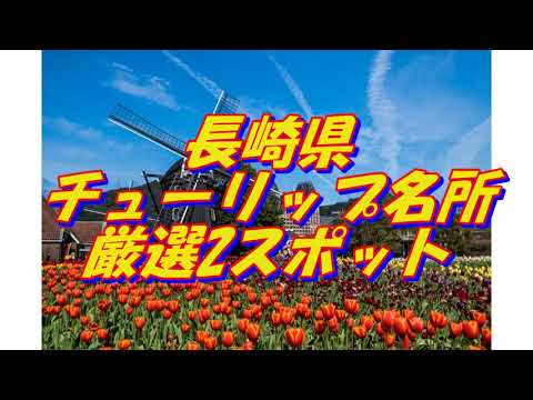 41【長崎県】チューリップの名所＜2選＞