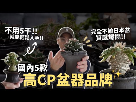 誰說國內沒好盆？推薦5大盆器品牌！ 超高CP值！質感爆棚！不用台幣5千就能入手🤩2023【推你入坑】