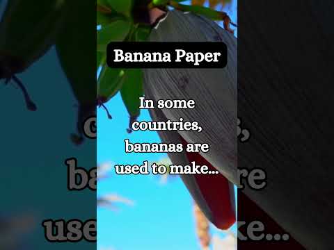 What Can Banana Peels Be Used For?