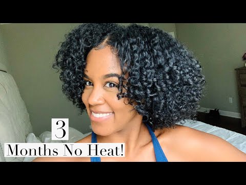 Deva Cut Hair Update | Natural Hair Journey | Heat Damage Transition