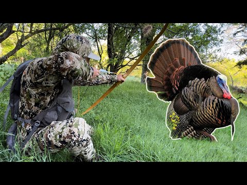 Bow Hunting For Turkeys {Ive NEVER SEEN This Before}