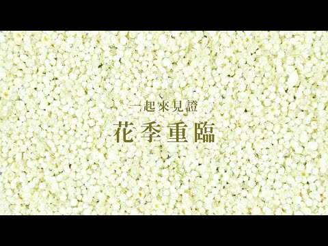 【预告｜花踪17】星洲日报第17届花踪文学奖