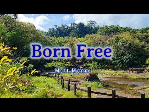 BORN FREE - (Karaoke Version) - in the style of Matt Monro