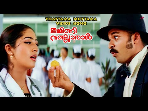 Thattana Muttana Video Song | Immini Nalloraal Movie Songs | Jayasurya | Navya Nair |M. Jayachandran