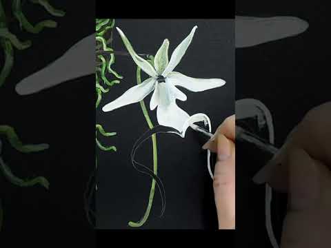 Ghost Orchid watercolor painting.  #shorts   #watercolorpainting