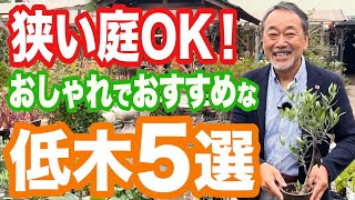 【プロが選ぶ】おすすめの低木５種をご紹介！おしゃれで管理がラクな植木を厳選！【植栽】【庭】【外構】