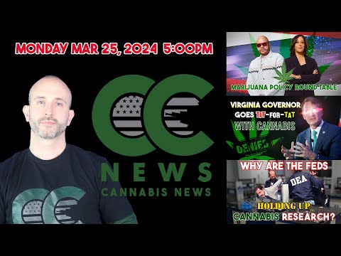 Cannabis News Update – VP Roundtable with Fat Joe, Weed Parental Abuse?, DEA Holding up Research